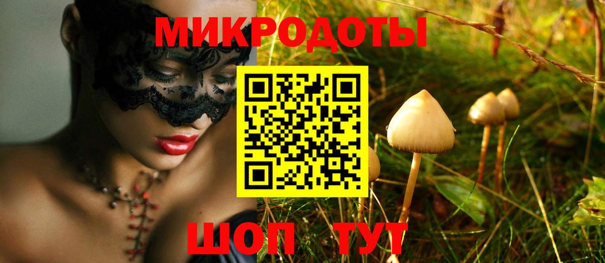Псилоцибиновые грибы Psilocybine cubensis Великий Новгород