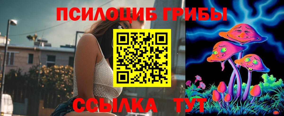 Великий Новгород  Псилоцибиновые грибы MAGIC MUSHROOMS  Вход с VPN 